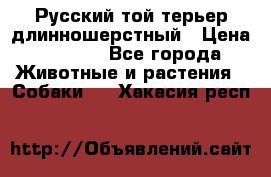 Русский той-терьер длинношерстный › Цена ­ 7 000 - Все города Животные и растения » Собаки   . Хакасия респ.